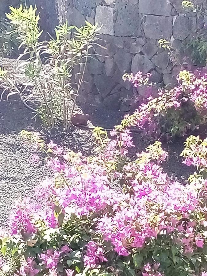 Casa Marilyn Villa Playa Blanca Dış mekan fotoğraf